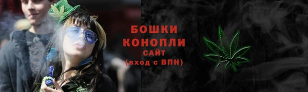 гидропоника Горняк