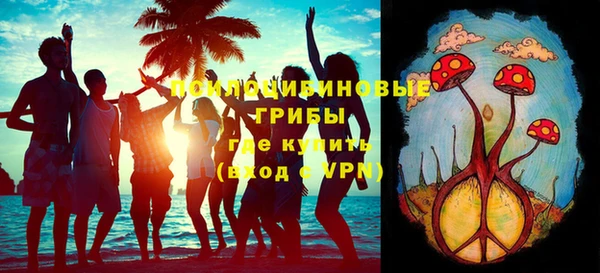 гидропоника Горняк