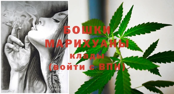 гидропоника Горняк