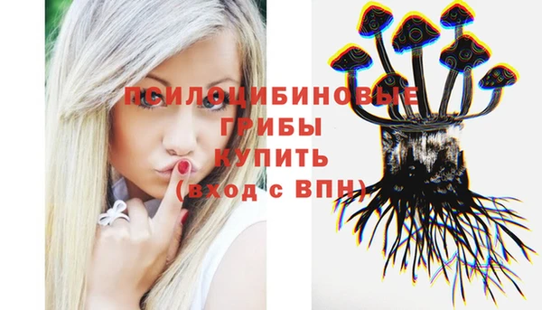 гидропоника Горняк